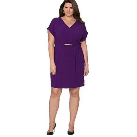 Lane Bryant Dresses & Skirts - LANE BRYANT career business casual v-neck stretchy pullover dress size 14 / 16